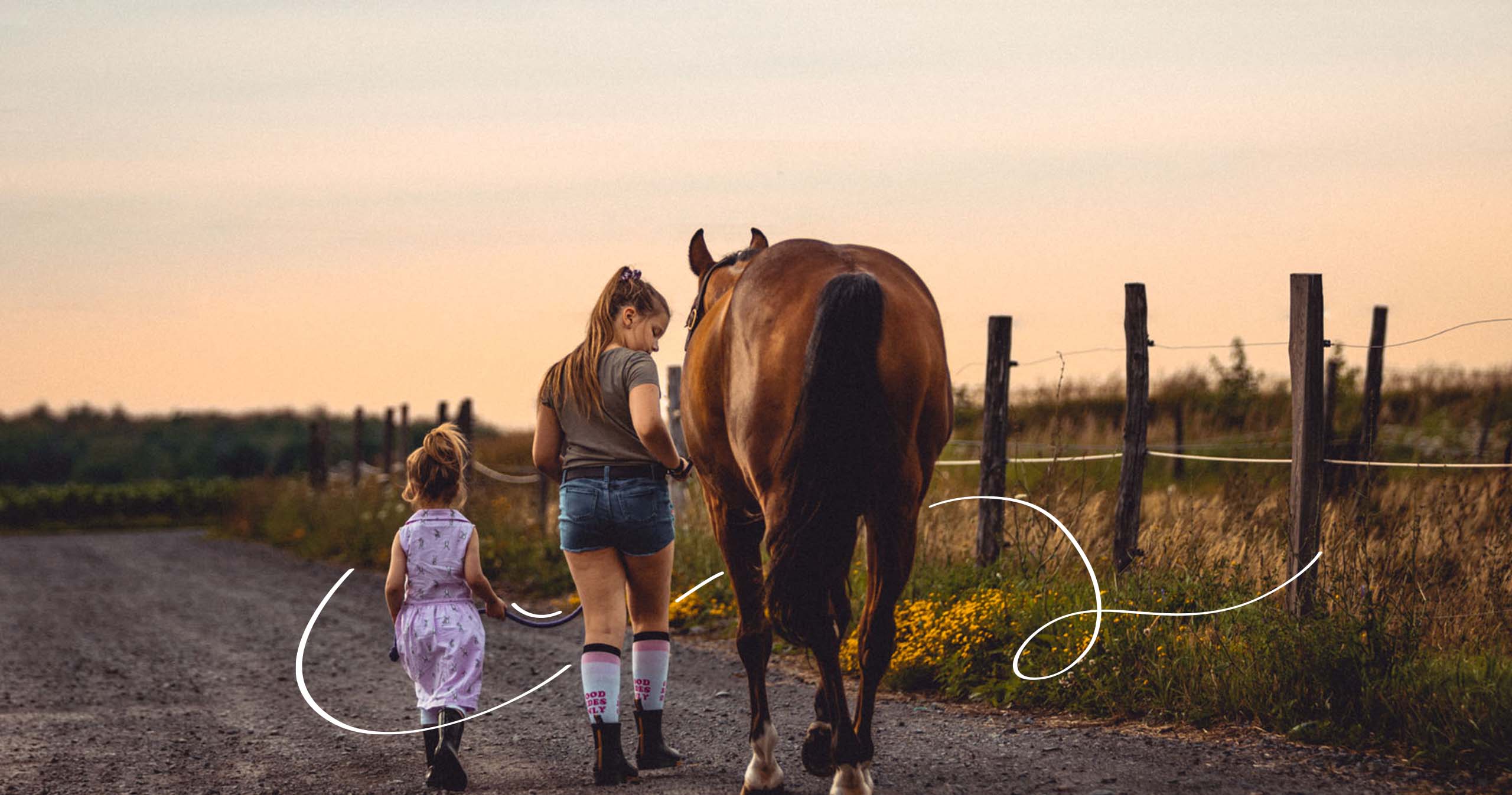 Image background accueil